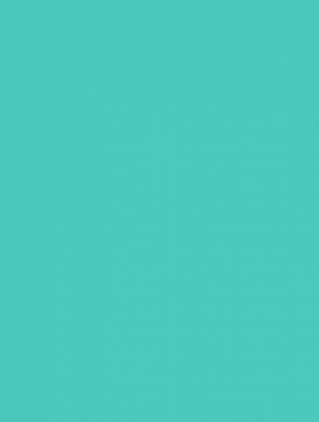 Robins Egg Matte Gift Wrap 30 x 833