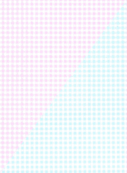 Pink and Blue Gingham Gift Wrap 24