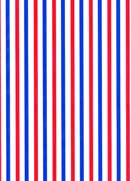 Red and Blue Stripe Gift Wrap 24