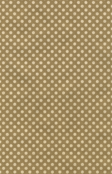 White Dots Gift Wrap 24