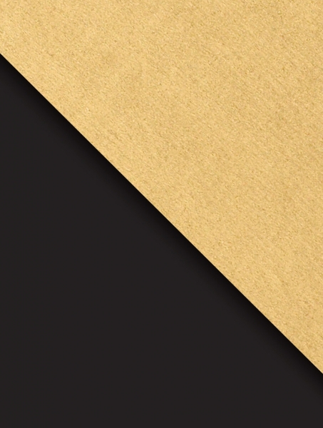 Black and Gold Kraft Gift Wrap 30