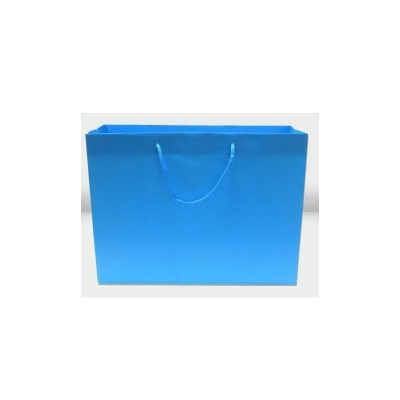 16x6x12- 100 Pack Island Blue Boutique