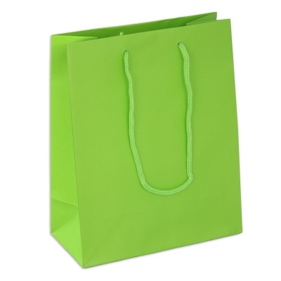 8x4x10 - 100 Pack Lime Boutique