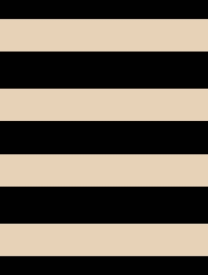 Black Gold Strip Gift Wrap 30" x 417'