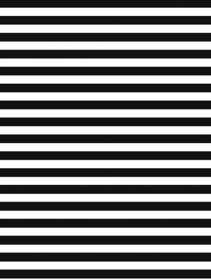 Black White Stripe Gift Wrap 30" x 417'