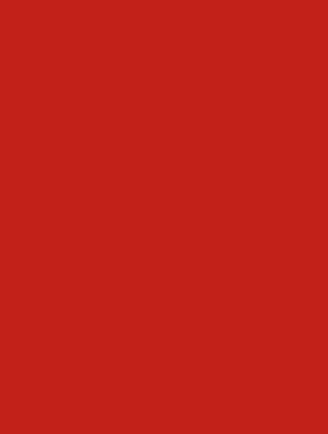 Red Matte Gift Wrap 30" x 417'