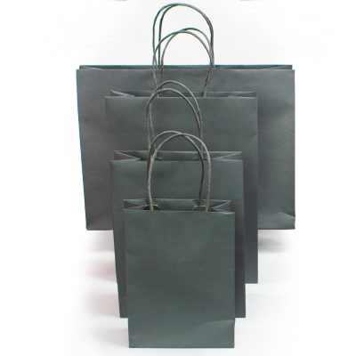 Charcoal 13x5x10 Hampton 200pk