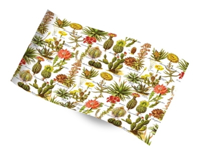 Printed Tissue - Desert Garden RC1251