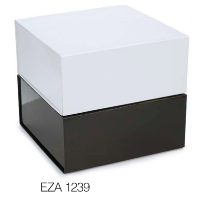 Ceco Gift Box-White-Pack 10-EZA 1239
