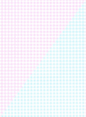 Pink and Blue Gingham Gift Wrap 24" x 417'