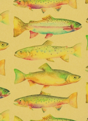 Rainbow Trout Gift Wrap 24" x 833'