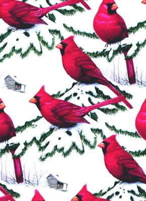 Cardinals Gift Wrap 30" x 833'
