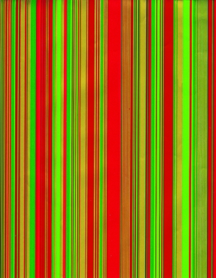 Red and Green Sidney Gift Wrap 24" x 417'