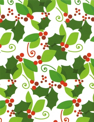 When Barry Met Holly Gift Wrap 24" x 417'