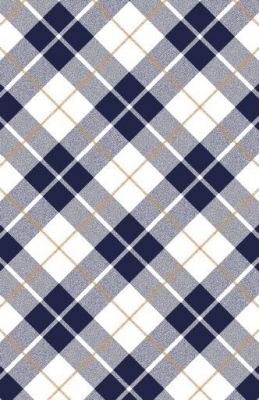 Navy and Gold Plaid