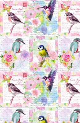 Song Birds 24" x 417'
