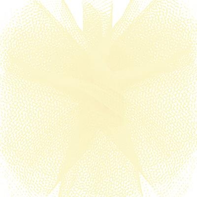 Tulle Ribbon-Ivory