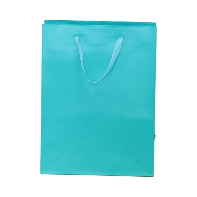 Hampton 10x5x13 Aqua Blue (pack 200)
