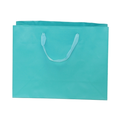 Aqua 13x5x10 Hampton 200pk
