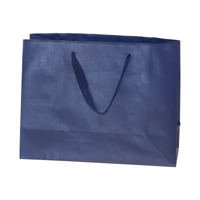 Navy 13x5x10 Hampton 200pk