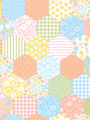 Baby Quilt 30 X 417 Gift Wrap