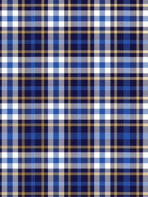 Blue Plaid 30 X 833 Gift Wrap
