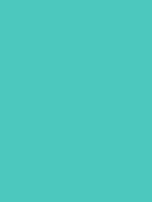 Robins Egg Matte Gift Wrap 30" x 417'