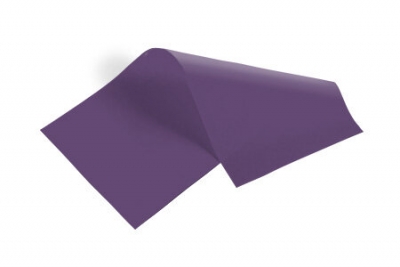 20" x 30" NE160 Purple