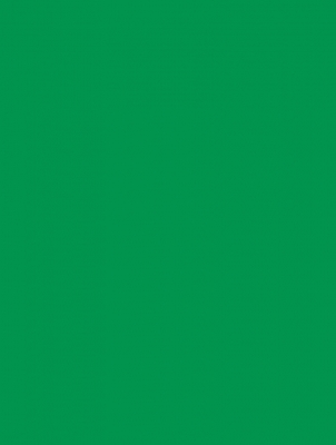 Green Matte Gift Wrap 30" x 833'