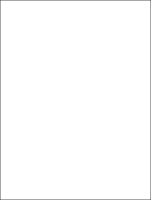White Matte Gift Wrap 30" x 833'