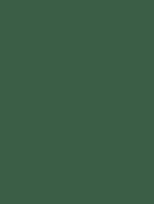Hunter Matte Gift Wrap 30" x 833'