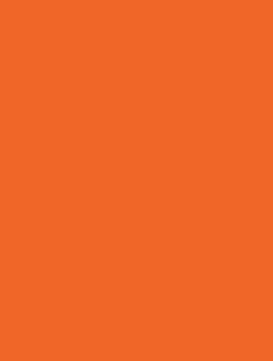 Orange Matte Gift Wrap 30" x 833'