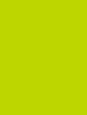 Lime Matte Gift Wrap 30" x 833'