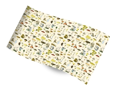 Printed Tissue - Toadstools RC1252