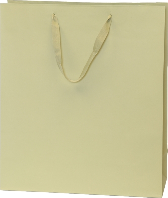 Fashion Tint-16 x 6 x 18 - Pack 100-Sand woven handle